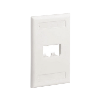 Placa de Pared Vertical Clásica, Salida Para 2 Puertos Mini-Com, Con Espacios Para Etiquetas, Color Blanco