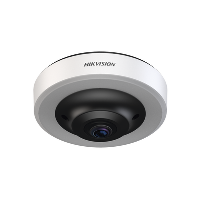 Fisheye IP 12 Megapixel (4K) / Para Detección de Espacios de Estacionamiento / 16 Espacios Ocupados o Libres / Interior  / PoE / Color Azul y Rojo /  IA Integrado