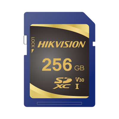 Memoria SD Clase 10 de 256 GB / Especializada Para Videovigilancia