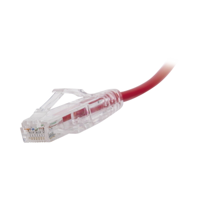 Cable de Parcheo Slim UTP Cat6 - 30 cm Rojo Diámetro Reducido (28 AWG)