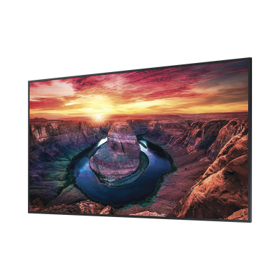 Pantalla Profesional LED de 43", UHD 4K (3840x2160p), Entradas de Video HDMI/DisplayPort, Bocinas Integradas de 10 W. Compatible VESA. Modo de Simulación DICOM