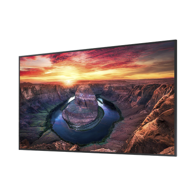 Pantalla Profesional LED de 55", UHD 4K (3840x2160p), Entradas de Video HDMI/DisplayPort, Bocinas Integradas de 10 W. Compatible VESA. Modo de Simulación DICOM