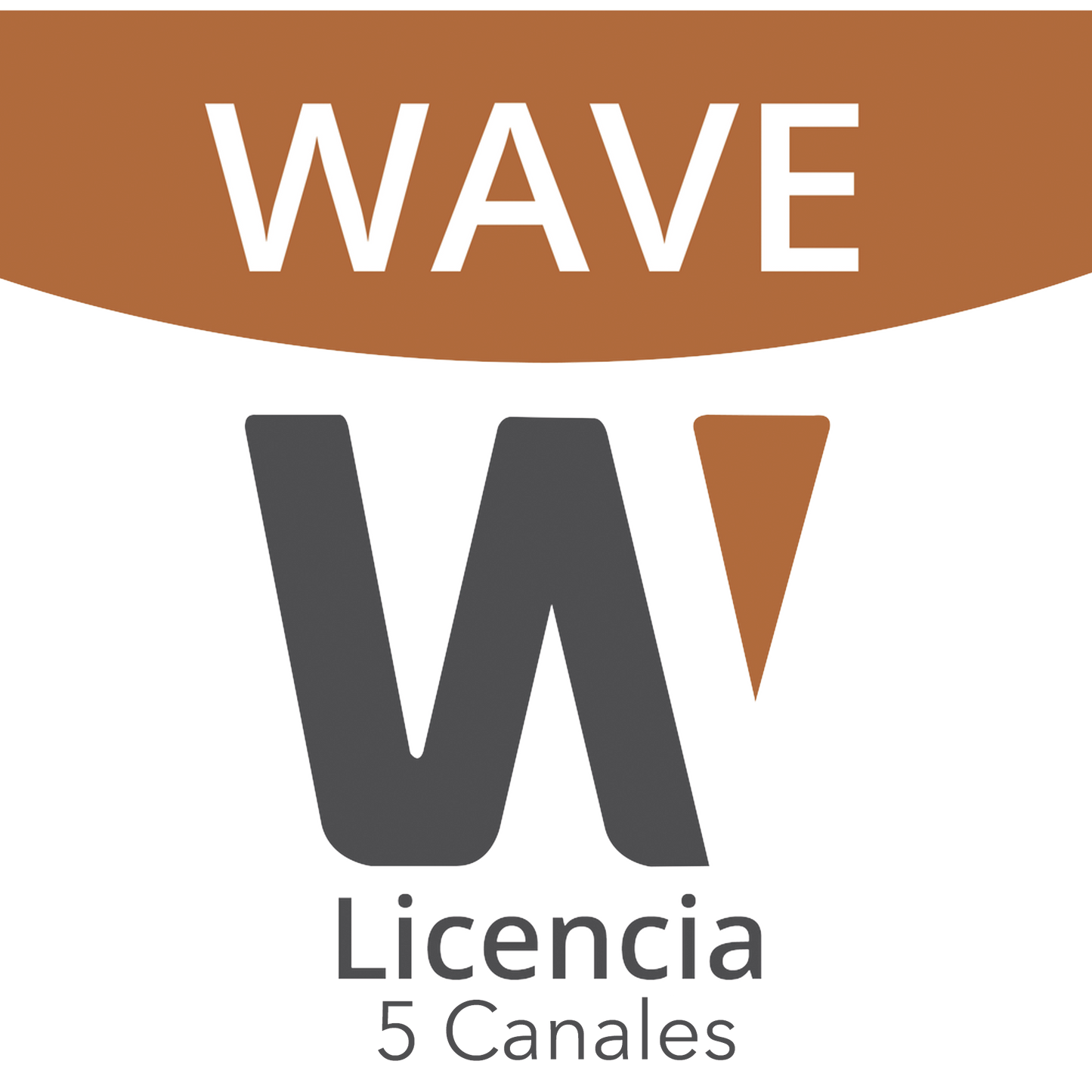 Licencia de 5 Canales de Wisenet Wave Profesional